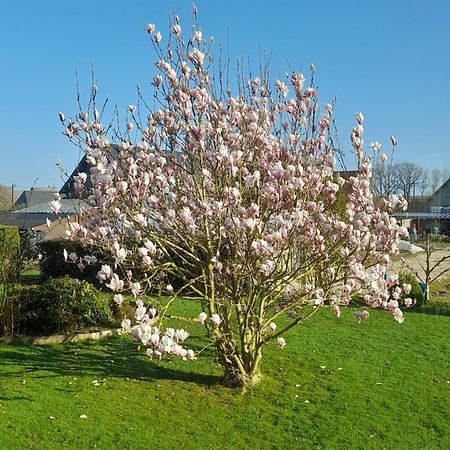 L'ABRI des ÂMES Gerponville Exterior foto